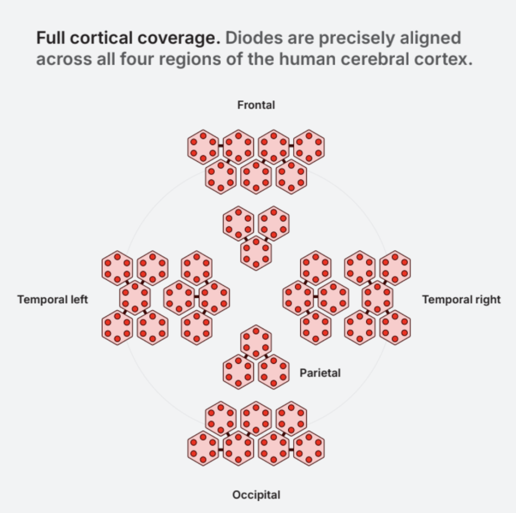Full Cortical Coverage